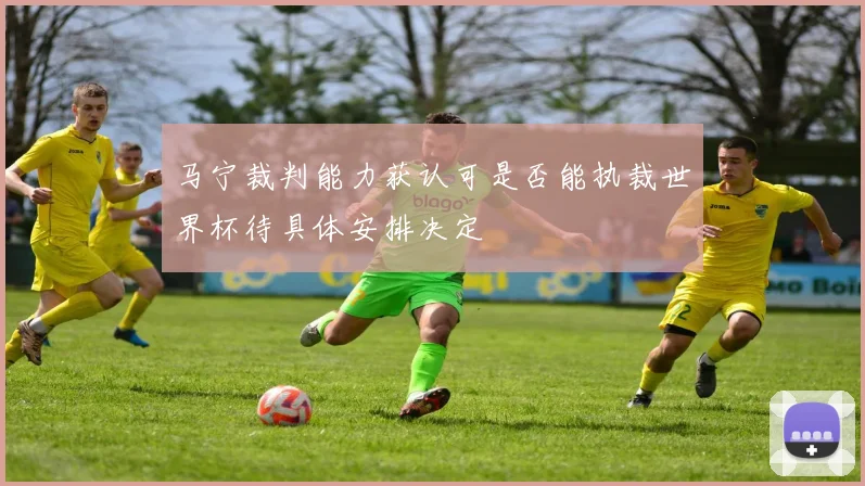 马宁裁判能力获认可是否能执裁世界杯待具体安排决定