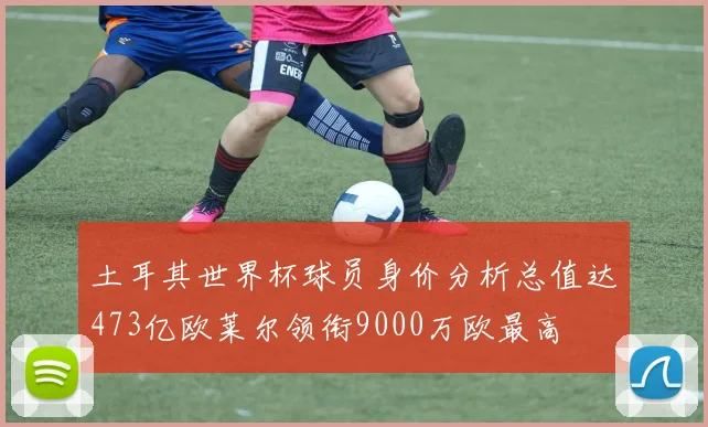 土耳其世界杯球员身价分析总值达473亿欧莱尔领衔9000万欧最高